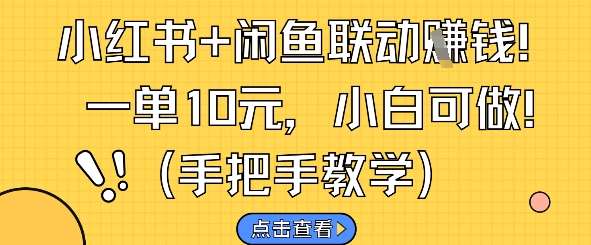 小红书+闲鱼联动挣钱,一单10元,小白可做-靠谱项目库
