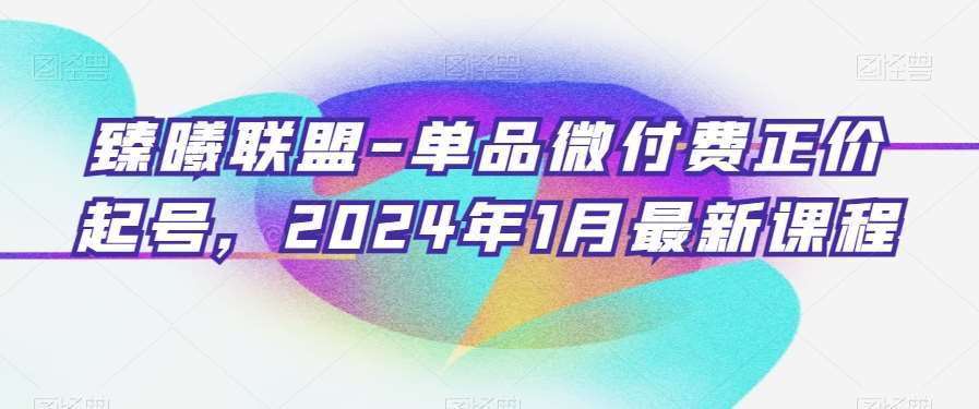臻曦联盟-单品微付费正价起号,2024年1月最新课程-靠谱项目库