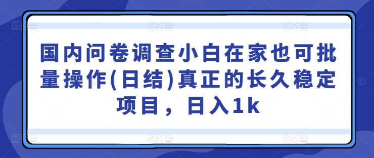 国内问卷调查小白在家也可批量操作(日结)真正的长久稳定项目，日入1k【揭秘】-靠谱项目库