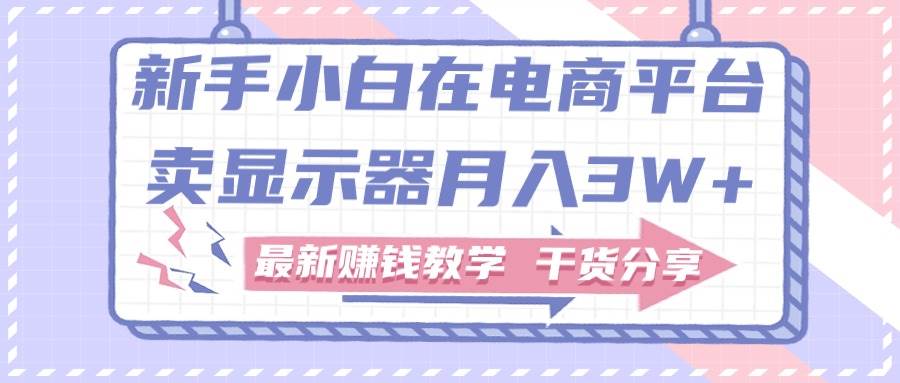 新手小白如何做到在电商平台卖显示器月入3W+,最新赚钱教学干货分享-靠谱项目库