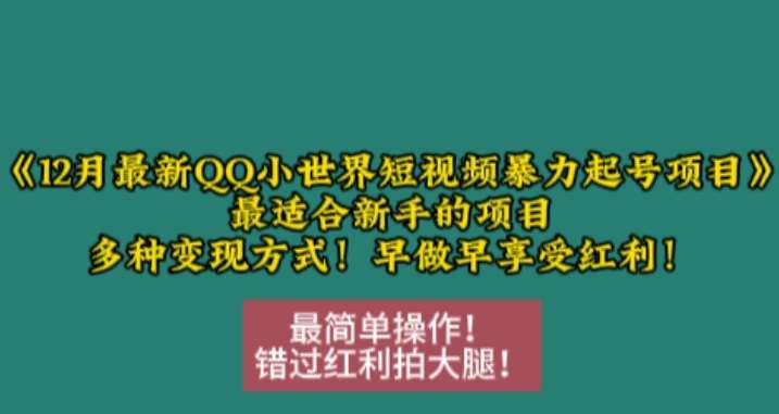 12月最新QQ小世界短视频暴力起号项目，最适合新手的项目，多种变现方式-靠谱项目库