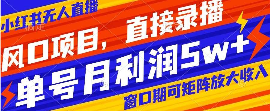 风口项目,小红书无人直播带货,直接录播,可矩阵,月入5w+【揭秘】-靠谱项目库