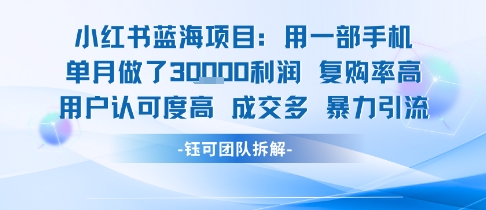 小红书蓝海项目，一部手机单月做了3W利润，小白也能月入过1W用户认可度高成交多-靠谱项目库