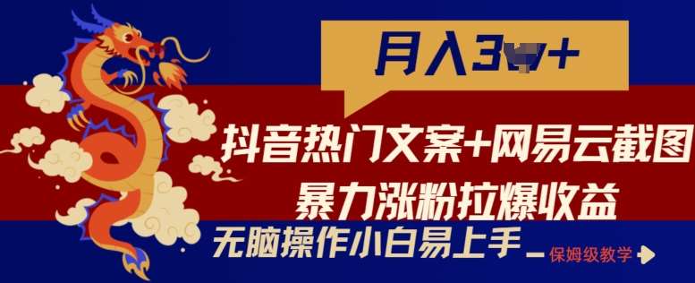 抖音热门文案+网易云截图暴力涨粉拉爆收益玩法，小白无脑操作，简单易上手【揭秘】-靠谱项目库