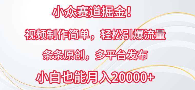 小众赛道掘金,视频制作简单,轻松引爆流量,条条原创,多平台发布【揭秘】-靠谱项目库