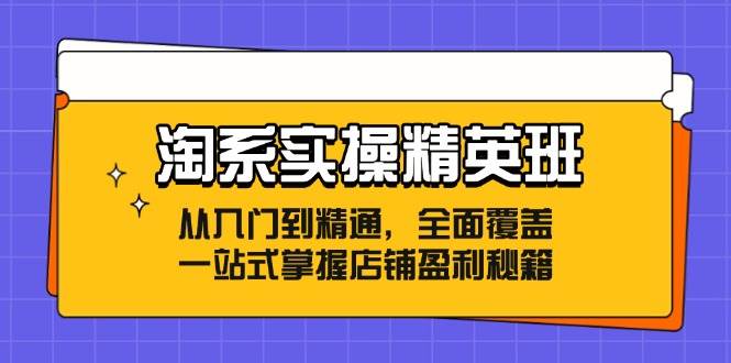 （12276期）淘系实操精英班：从入门到精通，全面覆盖，一站式掌握店铺盈利秘籍-靠谱项目库