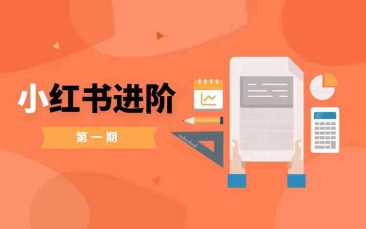 小红书进阶篇，零基础小白实战课，普通人变现的课程-靠谱项目库