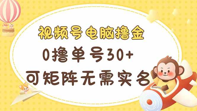 （14220期）视频号电脑撸金 0撸单号30+ 可矩阵 无需实名多号多得-靠谱项目库