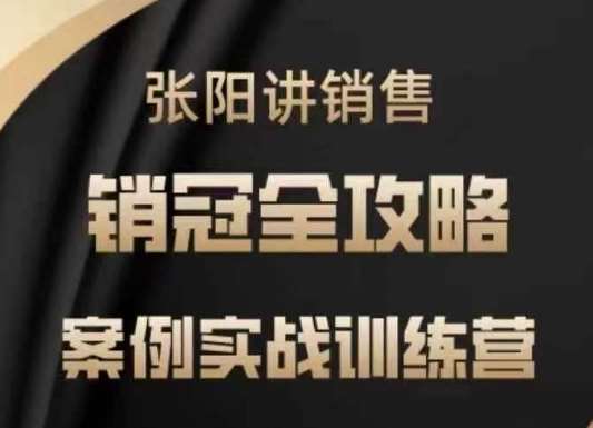 张阳讲销售实战训练营,案例实战训练,销冠全攻略-靠谱项目库