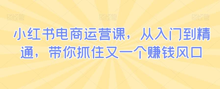 小红书电商运营课，从入门到精通，带你抓住又一个赚钱风口-靠谱项目库