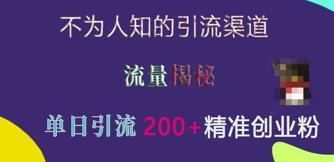 不为人知的引流渠道，流量揭秘，实测单日引流200+精准创业粉【揭秘】-靠谱项目库
