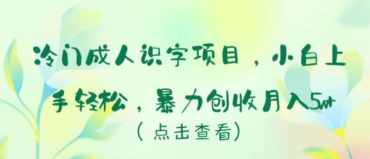 冷门成人识字项目，小白上手轻松，暴力创收月入5w+【揭秘】-靠谱项目库