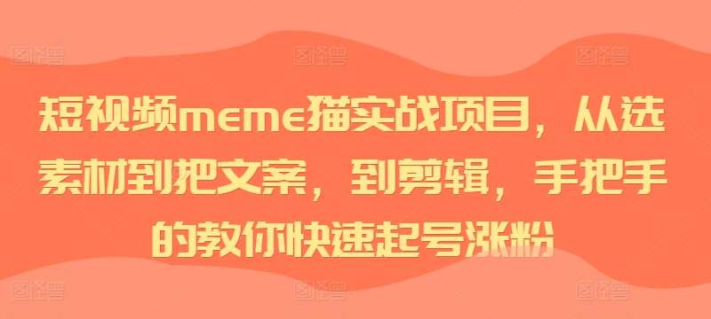 短视频meme猫实战项目，从选素材到把文案，到剪辑，手把手的教你快速起号涨粉-靠谱项目库