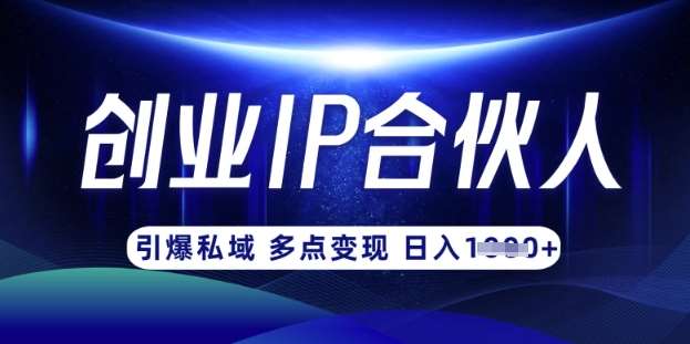 云帆·创业ip合伙人打造3.0，从0到1教你做网创，实现月入过W-靠谱项目库