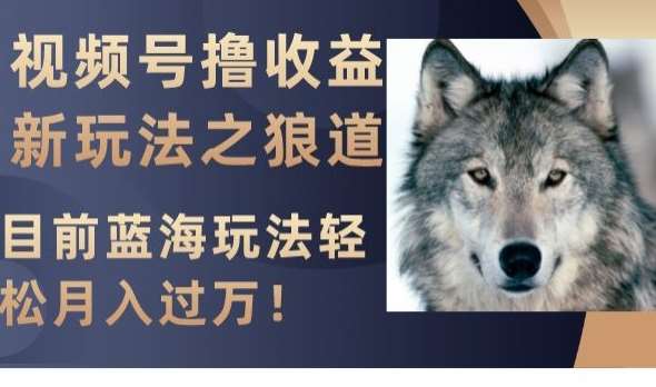 视频号撸收益新玩法之狼道，目前蓝海玩法，轻松月入过万【揭秘】-靠谱项目库