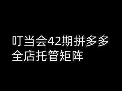 叮当会拼多多打爆班原创高阶技术第42期，拼多多全店托管矩阵-靠谱项目库
