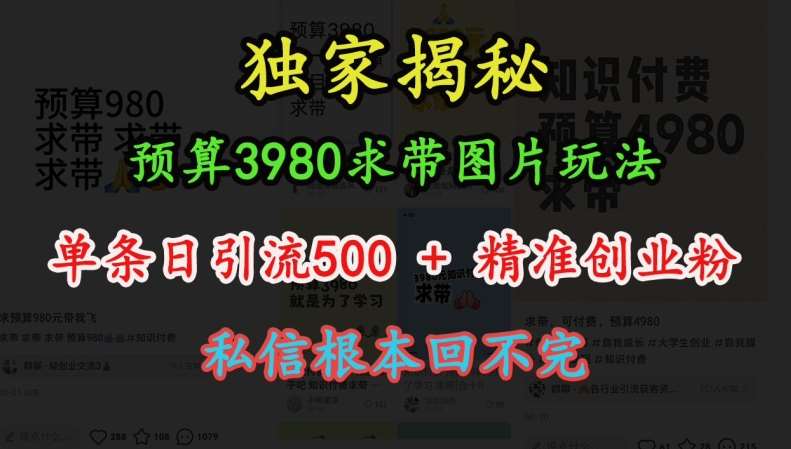 预算3980求带 图片玩法，单条日引流500+精准创业粉，私信根本回不完-靠谱项目库