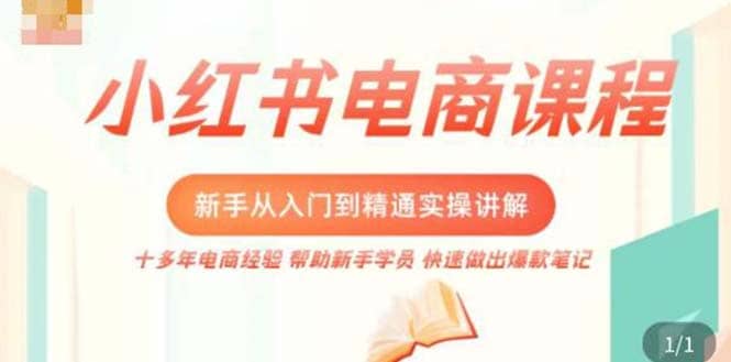 小红书电商新手入门到精通实操课，从入门到精通做爆款笔记，开店运营-靠谱项目库
