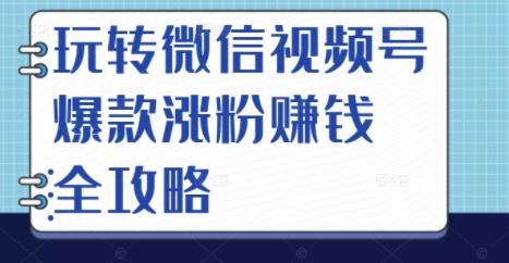玩转微信视频号爆款涨粉赚钱全攻略,让你快速抓住流量风口,收获红利财富-靠谱项目库