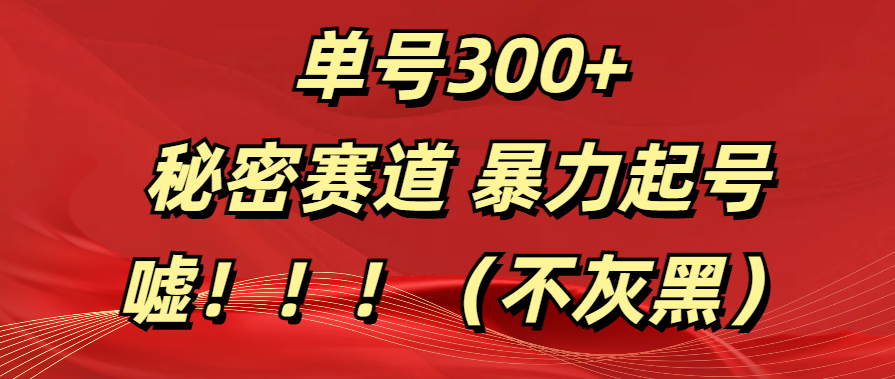 单号300+ 秘密赛道 暴力起号 (不灰黑)-靠谱项目库