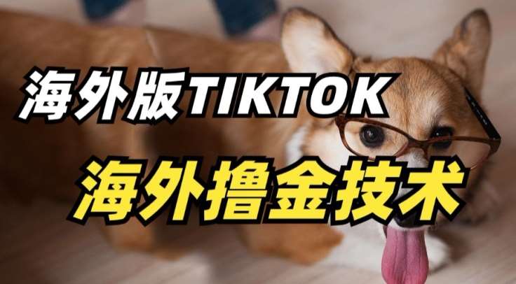 抖音海外版tiktok撸金技术,这个风口行业,赚钱真的不难【揭秘】-靠谱项目库