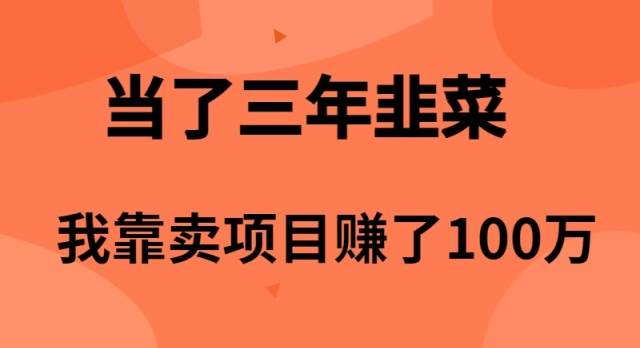 （10149期）当了3年韭菜，我靠卖项目赚了100万-靠谱项目库