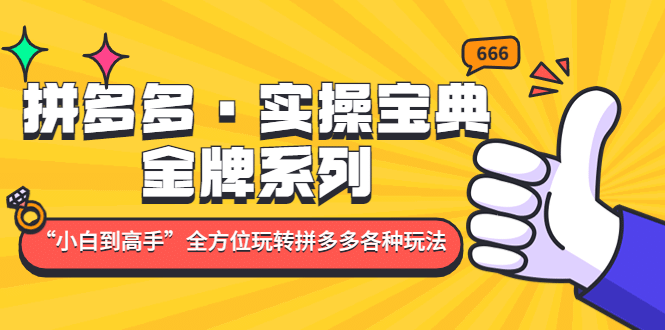 拼多多·实操宝典：金牌系列“小白到高手”带你全方位玩转拼多多各种玩法-靠谱项目库