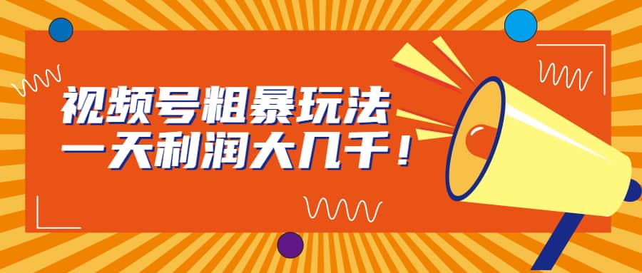 视频号粗暴玩法，一天利润大几千-靠谱项目库