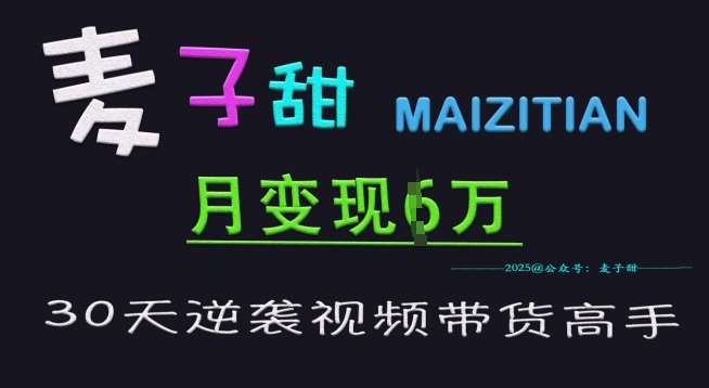 麦子甜30天逆袭视频带货高手，单月变现6W加特训营-靠谱项目库