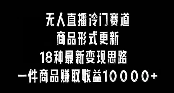 无人直播冷门赛道，商品形式更新，18种变现思路，一件商品赚取收益10000+【揭秘】-靠谱项目库