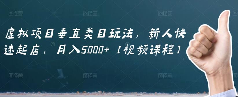 虚拟项目垂直类目玩法,新人快速起店,月入5000+【视频课程】