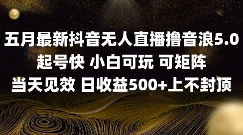 2025五月最新无人直播撸音浪单日产出5张+实操教程【揭秘】-靠谱项目库