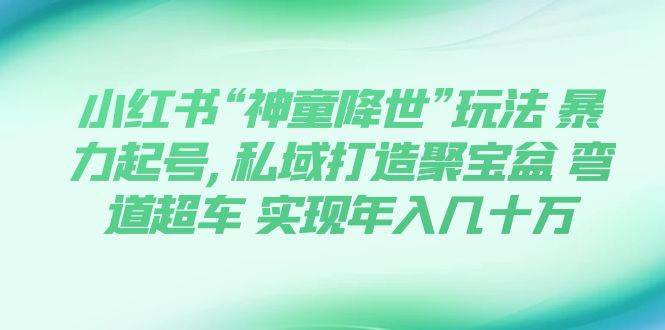 （7673期）小红书“神童降世”玩法 暴力起号,私域打造聚宝盆 弯道超车 实现年入几十万-靠谱项目库