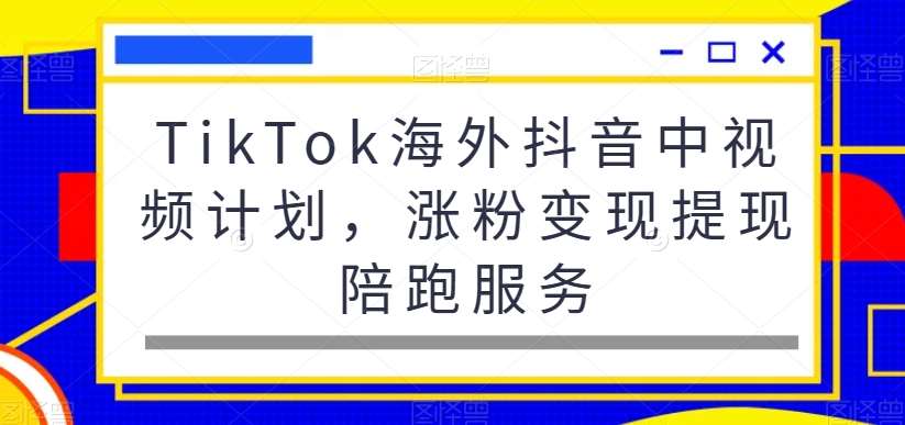 TikTok海外抖音中视频计划，涨粉变现提现陪跑服务-靠谱项目库