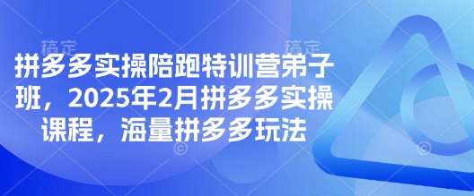 拼多多实操陪跑特训营弟子班，2025年2月拼多多实操课程，海量拼多多玩法-靠谱项目库
