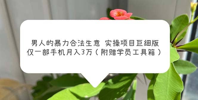 男人的暴力合法生意实操项目巨细版：仅一部手机月入3w（附赠学员工具箱）-靠谱项目库