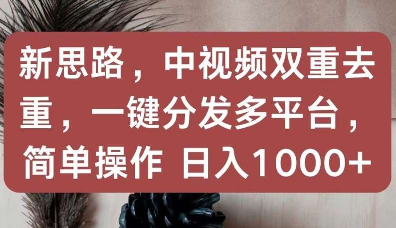 新思路,中视频双重去重,一键分发多平台,简单操作,日入1000+【揭秘】-靠谱项目库