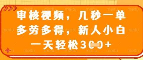 最新审核视频，几秒一单，多劳多得，新人小白一天轻松3张【揭秘】-靠谱项目库