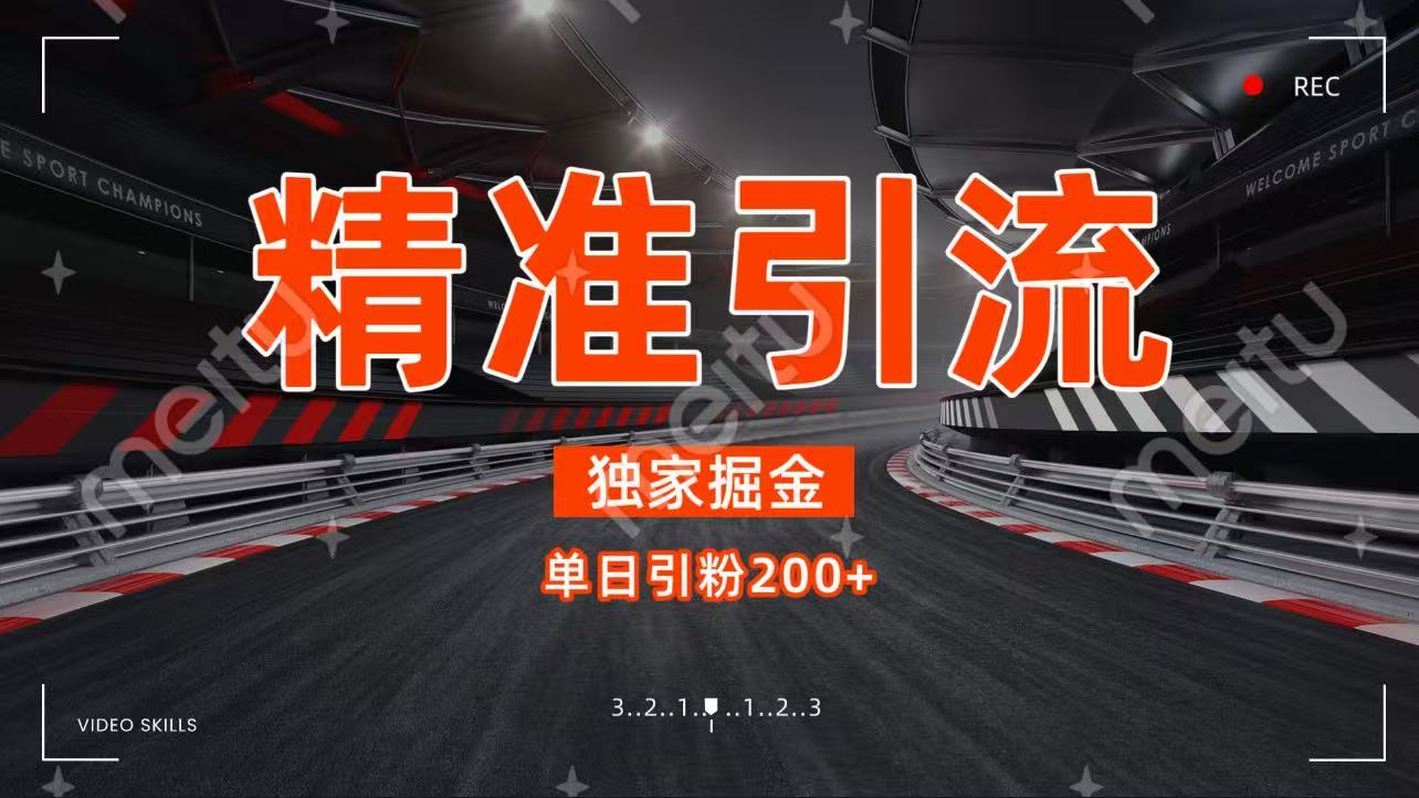 独家野路子精准引流 每日200+-靠谱项目库