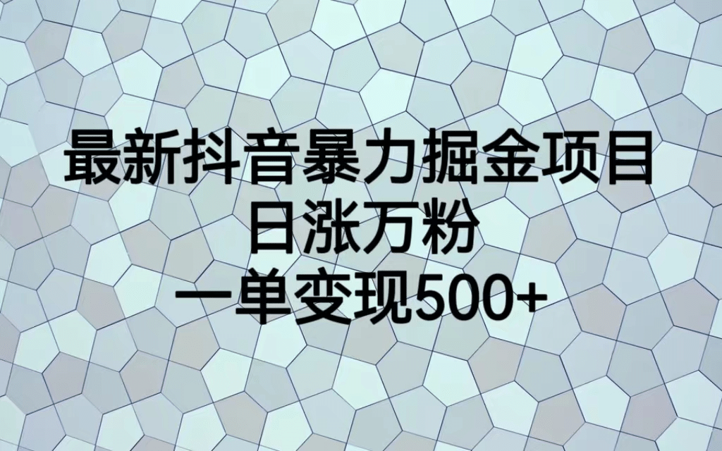 最火热的抖音暴力掘金项目，日涨万粉，多种变现方式，一单变现可达500+-靠谱项目库