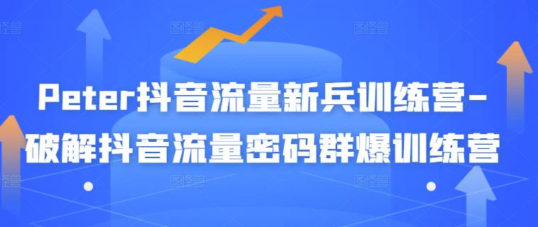 Peter抖音流量新兵训练营-破解抖音流量密码群爆训练营（新兵）-靠谱项目库