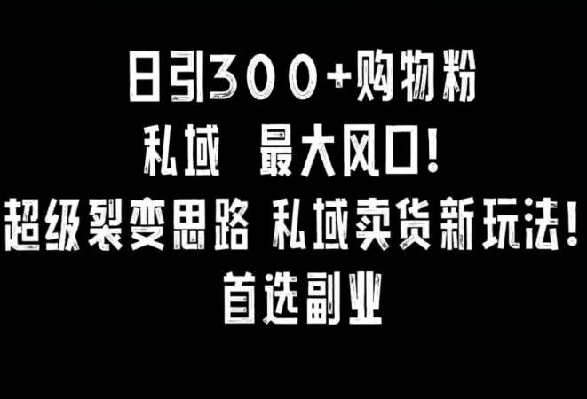 日引300+购物粉，超级裂变思路，私域卖货新玩法，小红书首选副业【揭秘】-靠谱项目库