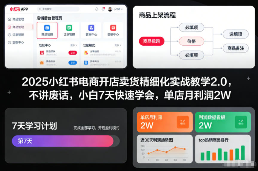 2025小红书电商开店卖货精细化实战教学2.0，不讲废话，小白7天快速学会，单店月利润2W-靠谱项目库