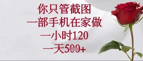你只管截图,一部手机在家操作,一小时120.一天5张【揭秘】-靠谱项目库