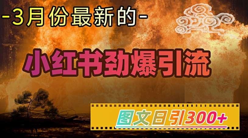 小红书超劲爆引流手段,图文日引300+轻松变现1W-靠谱项目库