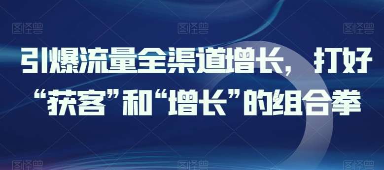 引爆流量全渠道增长,打好“获客”和“增长”的组合拳-靠谱项目库