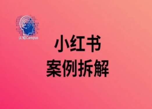 小红书案例拆解,深度解读小红书40万粉-靠谱项目库