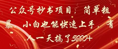 公众号抄书项目,简单粗暴,小白也能快速上手,有人一天搞了1k+-靠谱项目库