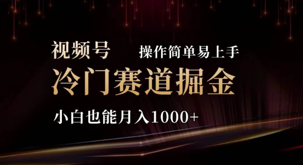 2024视频号冷门赛道掘金，操作简单轻松上手，小白也能月入1000+-靠谱项目库