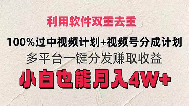 (11862期)利用软件双重去重,100%过中视频+视频号分成计划小白也可以月入4W+-靠谱项目库